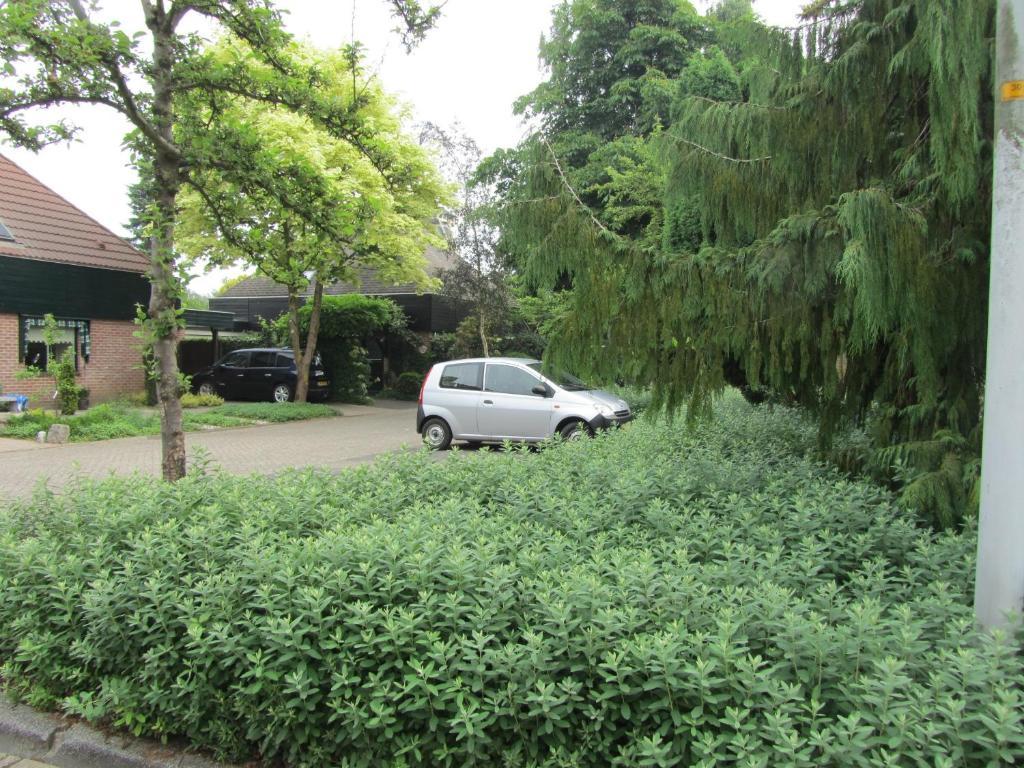 B&B Molenzicht Warnsveld Bagian luar foto